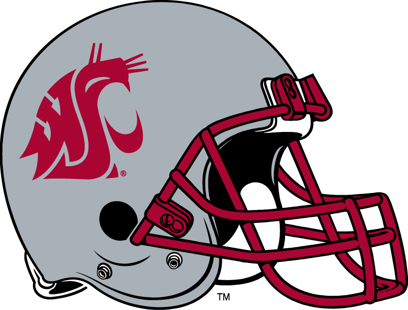 Washington State Cougars 1999-Pres Helmet Logo vinyl decal